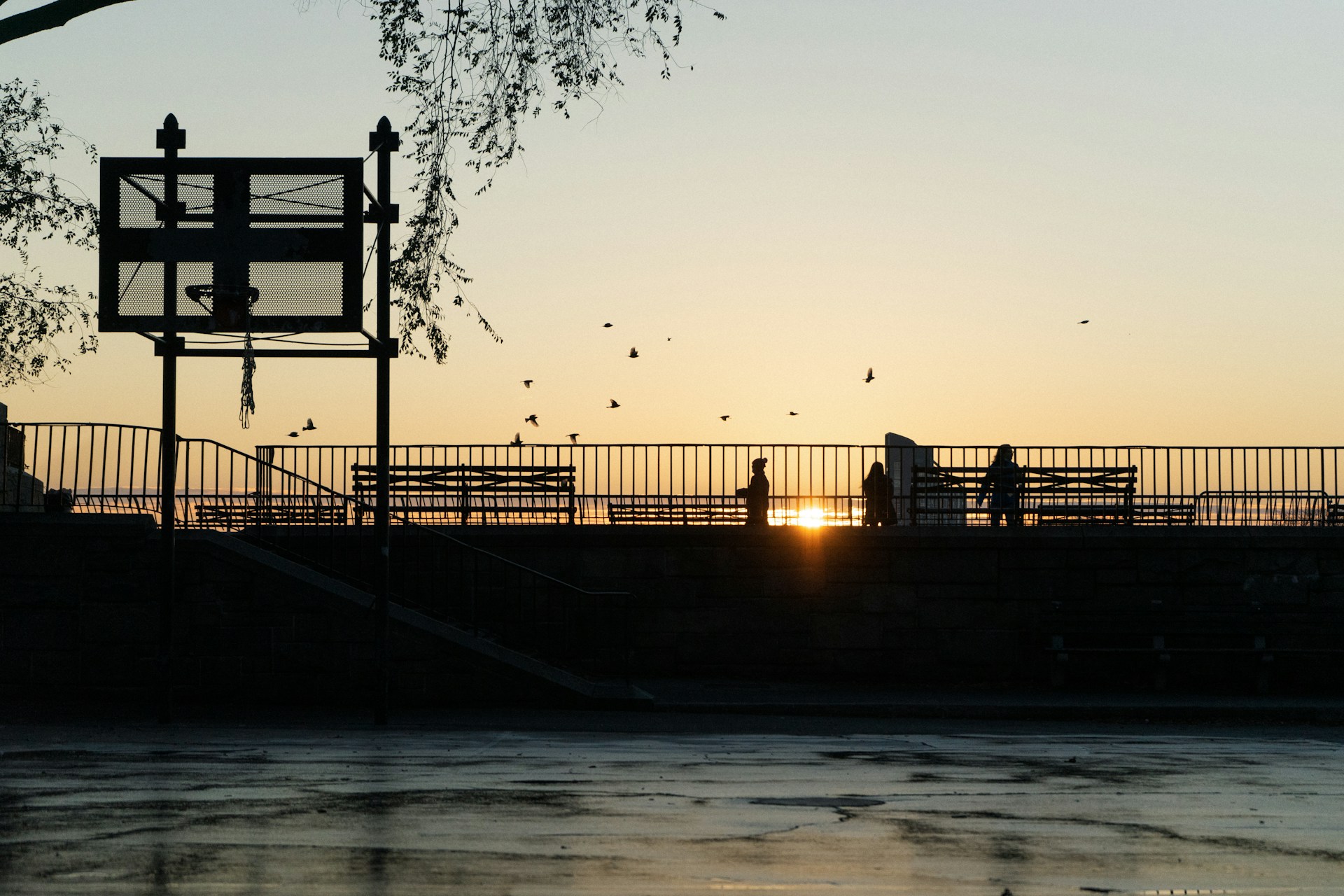 The Details Are Fuzzy 🔍