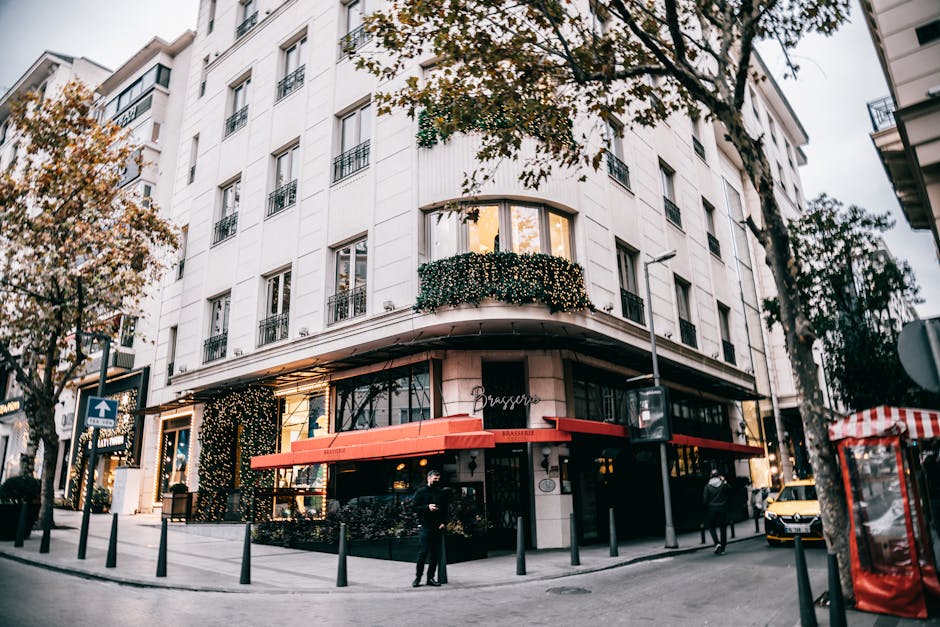 Market Pulse Daily Digest for November 25, 2025