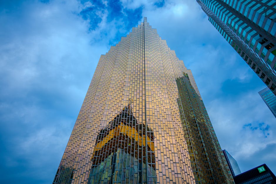 Equilibrium Point 🔄